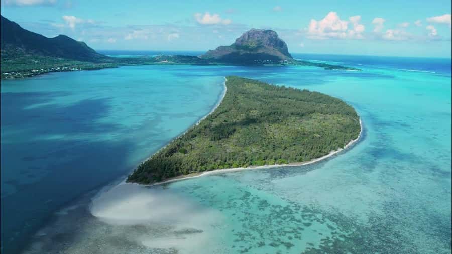 Mauritius: Swim with Dolphins Full-Day with Lunch/Drinks - Snorkeling at The Aquarium around 9:30