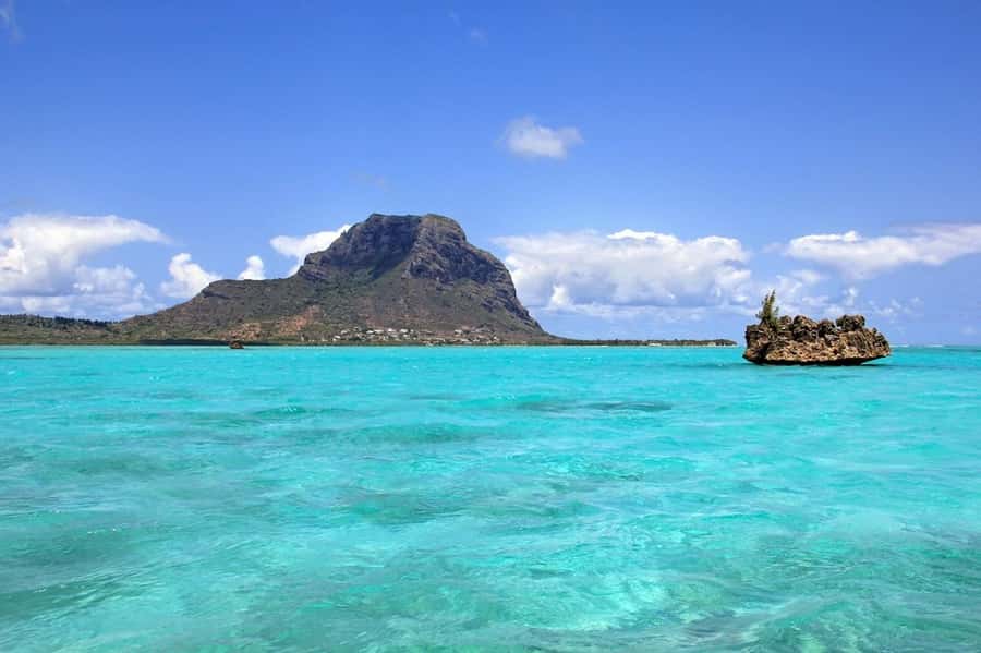 Mauritius: Swim with Dolphins Full-Day with Lunch/Drinks - BBQ lunch and island time on Ile aux Benitiers