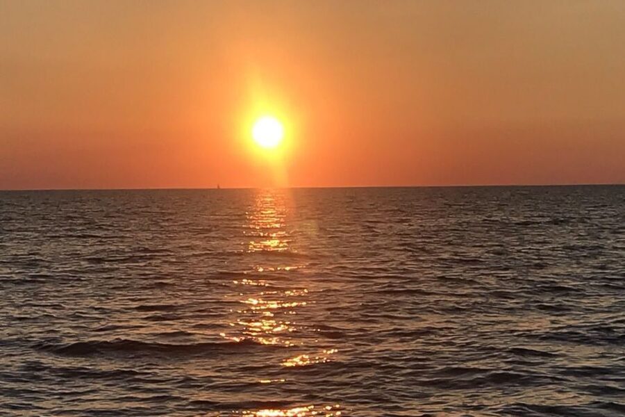 Medulin: Dolphin Sunset Tour 85% chance with Drinks + Dinner - Who will enjoy this cruise most?