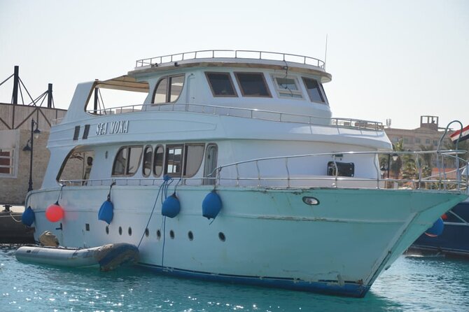Meet the dolphins in snorkeling tour - Lunch, drinks, and life on board