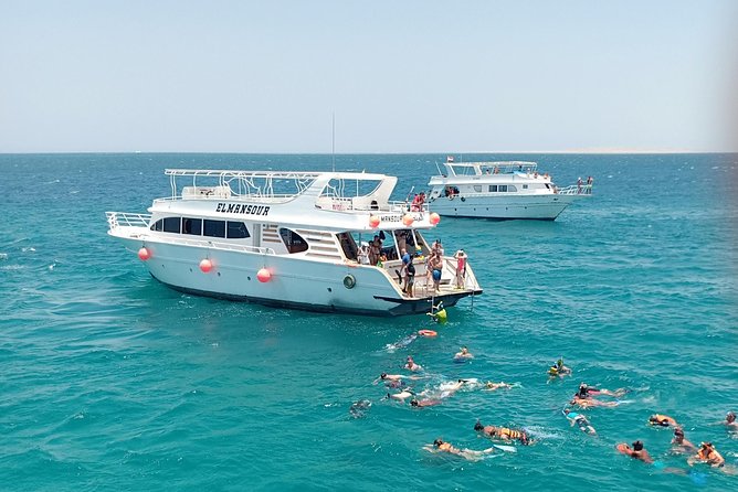 Meet the dolphins in snorkeling tour - Two snorkeling stops on the Red Sea reef