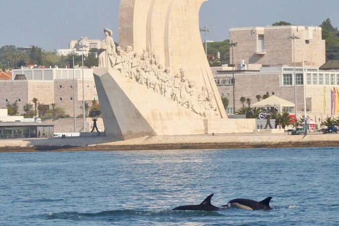 Meet the Lisbon Dolphins - Dolphin Watching in Lisbon - Up to 40 miles toward the Atlantic