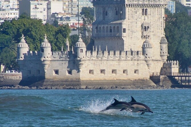 Meet the Lisbon Dolphins - Dolphin Watching in Lisbon - Returning past Belém’s monuments