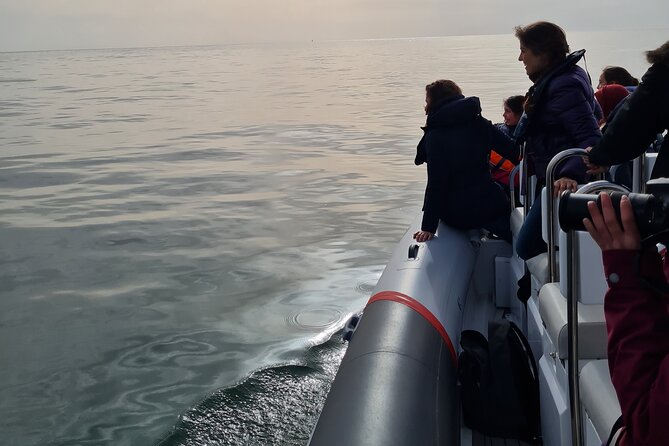 Meet the Lisbon Dolphins - Dolphin Watching in Lisbon - What to wear and carry for three hours at sea