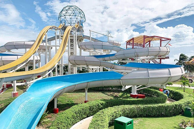 Meeting at the Dolphinarium - Practical costs and small details that affect the day