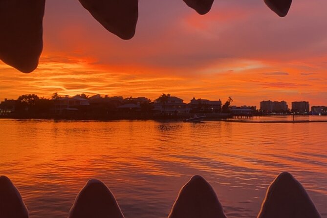 Mega Bite Dolphin Tour Boat in Clearwater Beach - Why sunset departures can be the smart choice