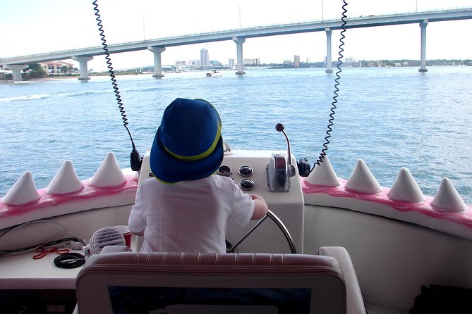 Mega Bite Dolphin Tour Boat in Clearwater Beach - A one-hour outing with useful family details