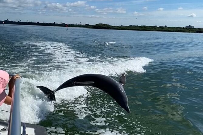 Mega Bite Dolphin Tour Boat in Clearwater Beach - Weather, comfort, and the limits of the promise