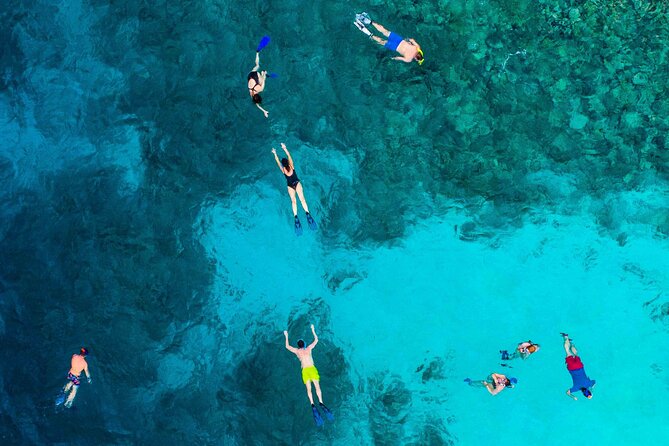 MIAMI: Key West Dolphin Watch Tour - What the optional activities cost you in time