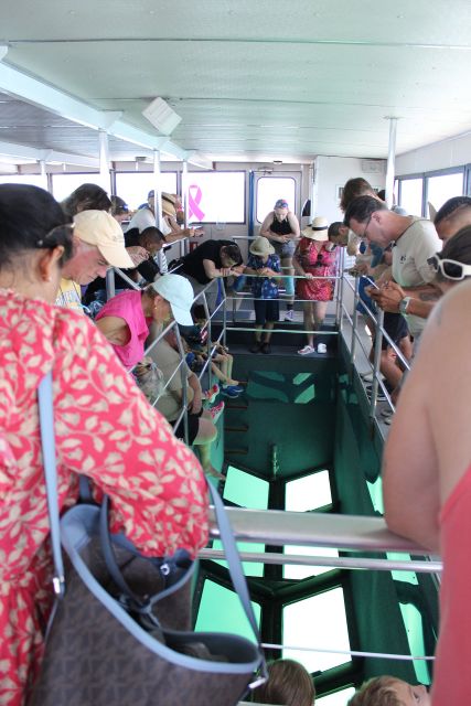 Miami to Key West Shuttle: Dolphin, Snorkeling & More - Choosing the right water activity