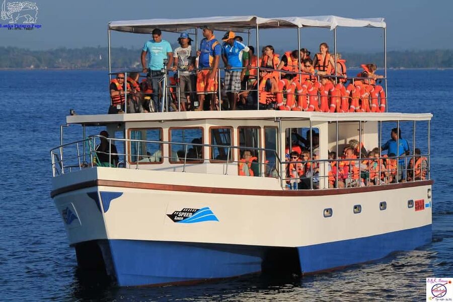 Mirissa: Whale & Dolphin Watching Trip with Private Transfer - Reaching Mirissa Before Sunrise