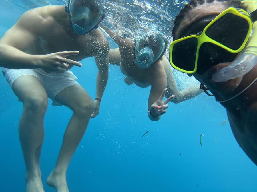 Mnemba dolphin & snorkel: from matemwe, pwani, kwingwa, Uroa - Key points at a glance
