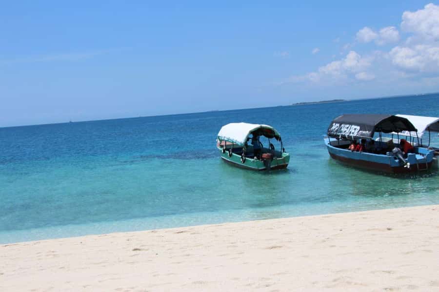 Mnemba dolphin & snorkel: from matemwe, pwani, kwingwa, Uroa - Leaving from Matemwe, Pwani, Kwingwa, or Uroa