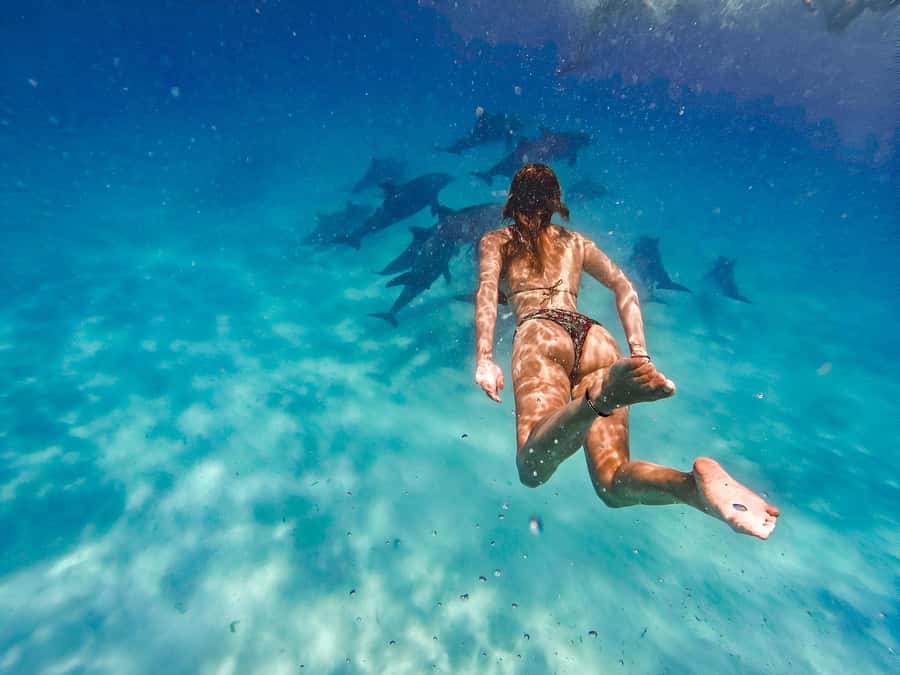 Mnemba Island: Dolphin Swim & Snorkeling with Optional Lunch - Dolphins First, With an Important Ethical Question