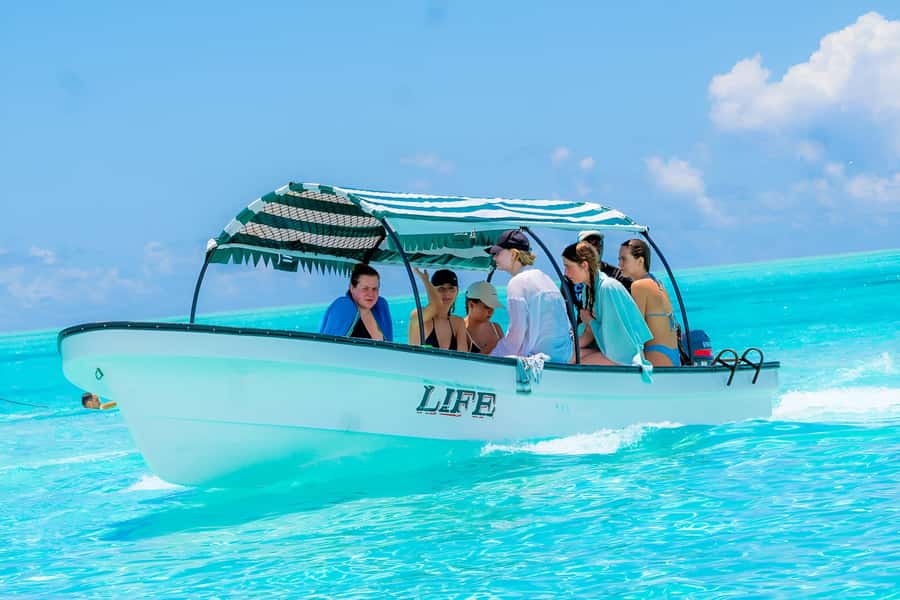 Mnemba Island: Dolphin Swim & Snorkeling with Optional Lunch - The Optional Lunch Is a Separate Choice