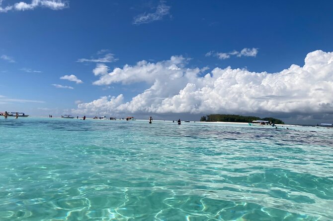Mnemba Island Dolphin Tour and Stonetown Walking Tour - Mnemba Island Starts the Day With Sand, Reef, and Open Water