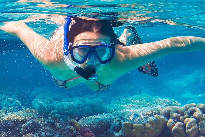 Mnemba Island Marine Safari Snorkeling and Dolphin Watching - Forty-five minutes over Mnemba’s coral reef