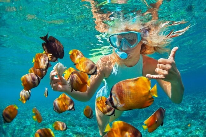 Mnemba Island Marine Safari Snorkeling and Dolphin Watching - Forty-five minutes of dolphin watching