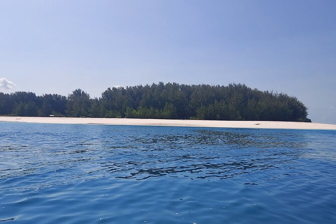 Mnemba Island Snorkeling and Dolphin tour - Why Mnemba Makes a Strong Snorkeling Day