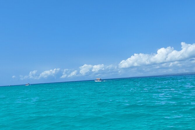 Mnemba Island Snorkeling and Dolphin tour - Dolphin Watching Without a Promise