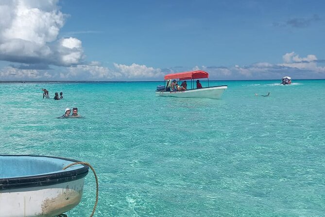 Mnemba Island Snorkeling and Dolphin tour - Who Will Enjoy This Trip Most