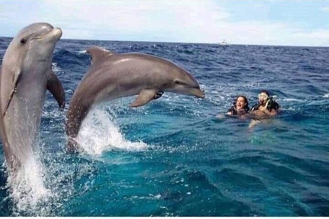 Mnemba Island snorkeling and Swimming with Dolphin - Dolphin Point and the luck factor