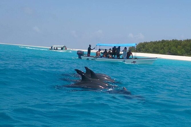 Mnemba Island snorkeling and Swimming with Dolphin - Practical advice for a better morning