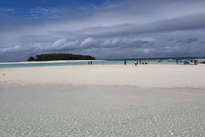 Mnemba Island snorkeling and Swimming with Dolphin - Who will enjoy this trip most