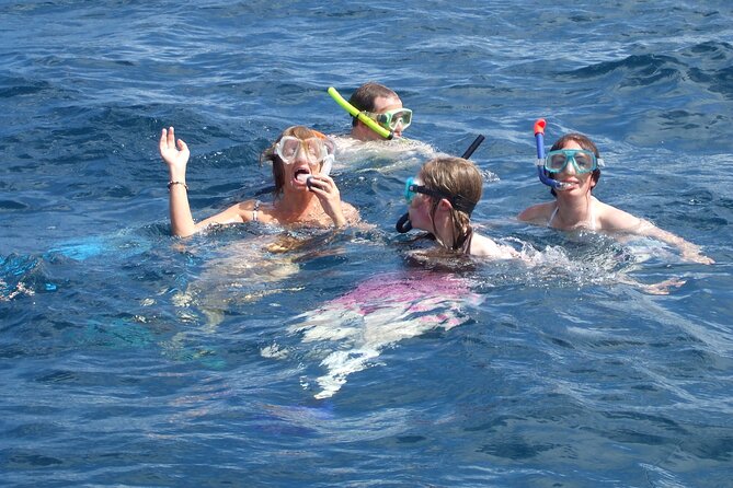 Mnemba Island Snorkeling and Swimming with Dolphins - What the $65 price really covers
