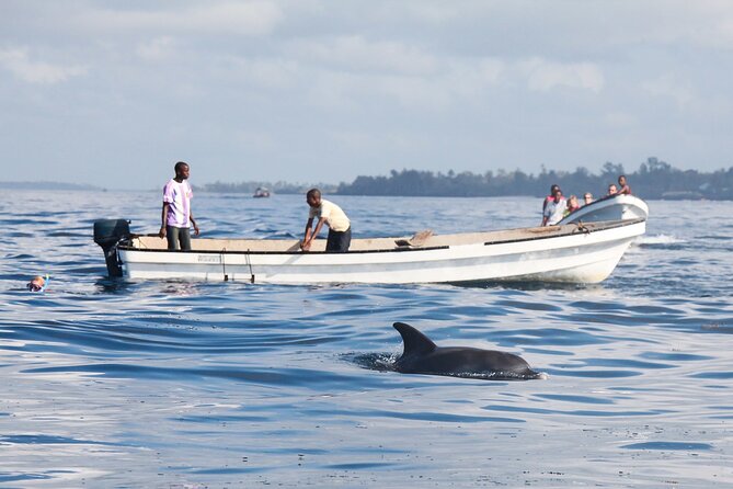 Mnemba Island Snorkeling and Swimming with Dolphins - Leaving Stone Town for the northeastern coast