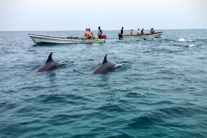 Mnemba Island Swim with Dolphins and Snorkeling (Sea food Lunch) - Key points to know before booking