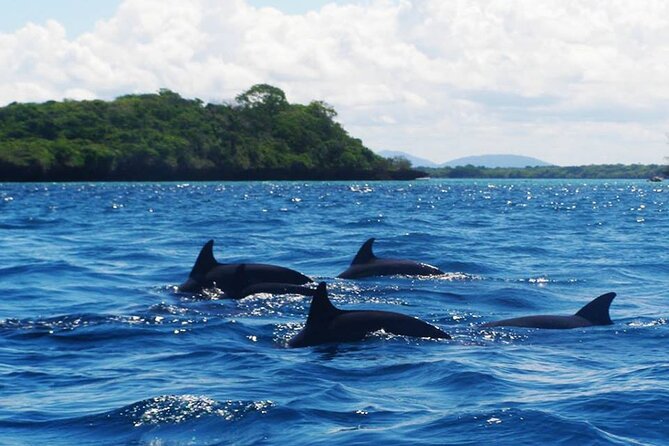 Mnemba Island Swim with Dolphins and Snorkeling (Sea food Lunch) - Early morning on the way to Mnemba Island
