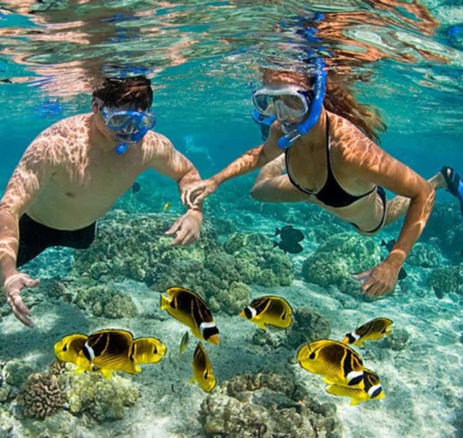 Mnemba island Swimming + snorkeling with dolphins adventure - Setting out by speedboat