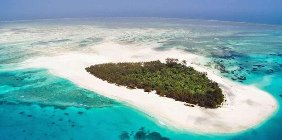Mnemba island Swimming + snorkeling with dolphins adventure - Tropical fruit after the water activities