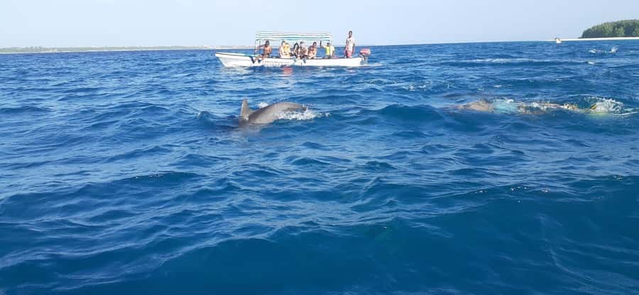 Mnemba island Swimming + snorkeling with dolphins adventure - How much time you really get at Mnemba