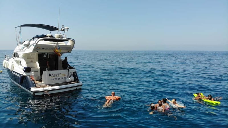 Mogan: Dolphin Watching Boat Trip with Swim Stop - Key points at a glance