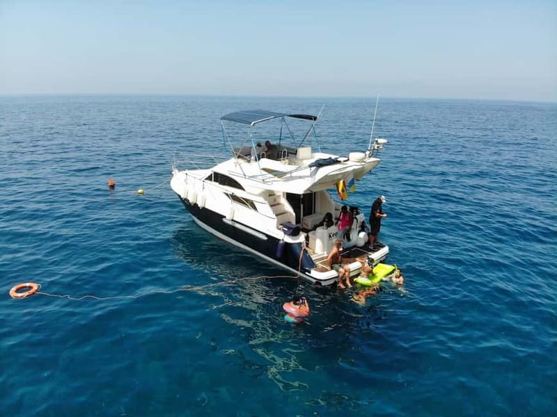 Mogan: Dolphin Watching Boat Trip with Swim Stop - Why the small group matters