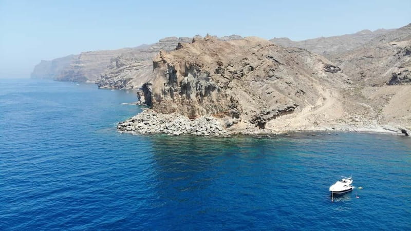 Mogan: Dolphin Watching Boat Trip with Swim Stop - The coastal stop, lunch, and time in the water