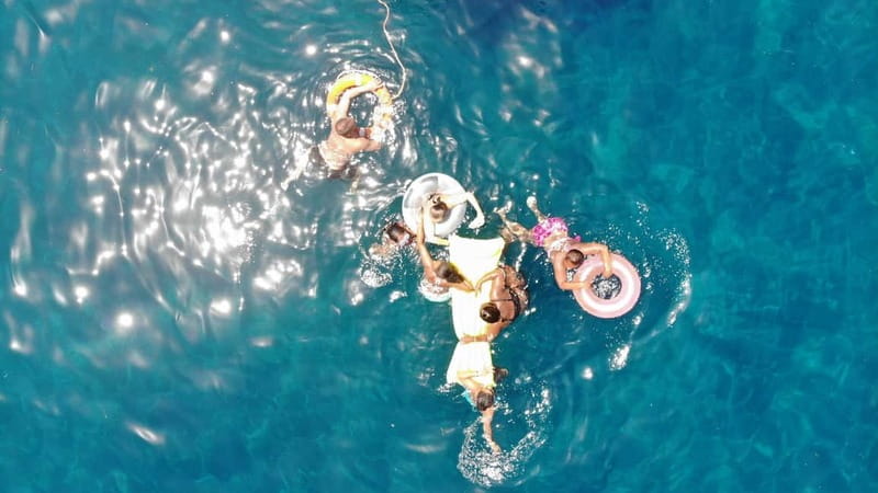 Mogan: Dolphin Watching Boat Trip with Swim Stop - The dolphin search across the Atlantic