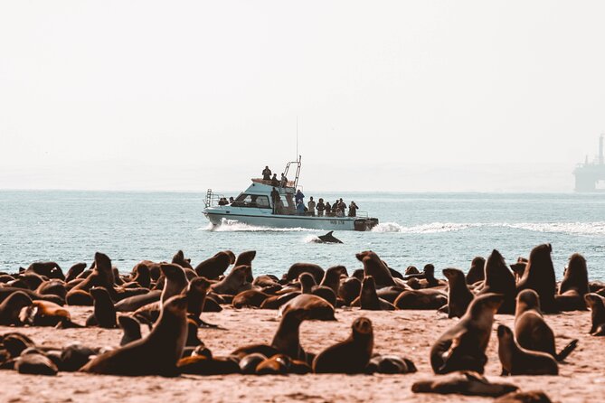 Mola Mola Marine Dolphin Cruise & Beach Braai on Pelican Point - Setting out from Walvis Bay Waterfront at 8:30 am