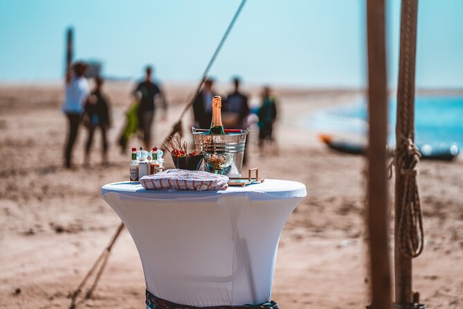 Mola Mola Marine Dolphin Cruise & Beach Braai on Pelican Point - Pelican Point and its close-up animal encounters