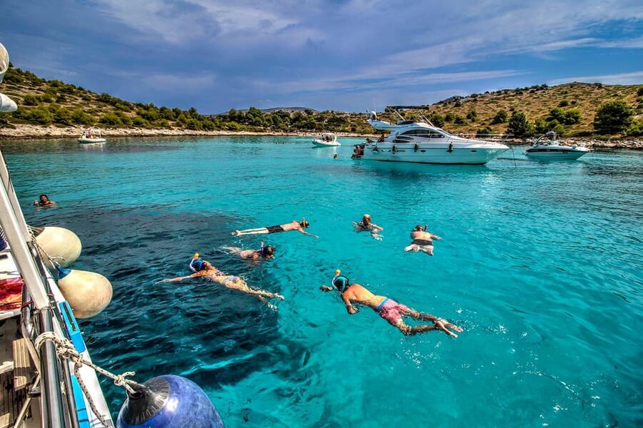 Molat Island Dolphin Watching Boat Tour 6hours TOUR - Swimming in clear water near Molat