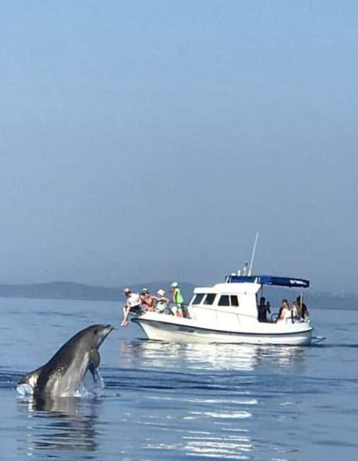 Molat Island Dolphin Watching Boat Tour 6hours TOUR - Lunch on the island, including a vegetarian option