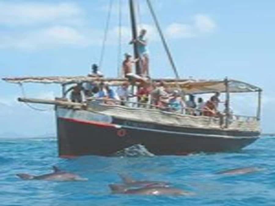 Mombasa: Snorkeling, Dolphin watching, seafood lunch. - From Mombasa or Diani to Shimoni