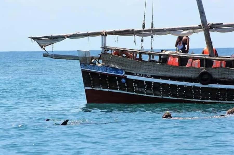 Mombasa: Snorkeling, Dolphin watching, seafood lunch. - Wasini Island fish lunch and Swahili flavors