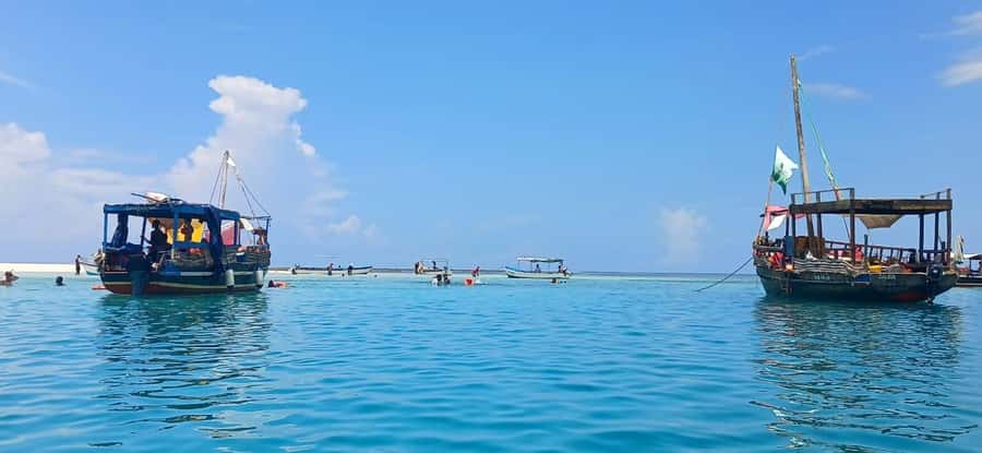 Mombasa: Wasini Dolphin Tour - From Mombasa to Shimoni, an early start on the coast