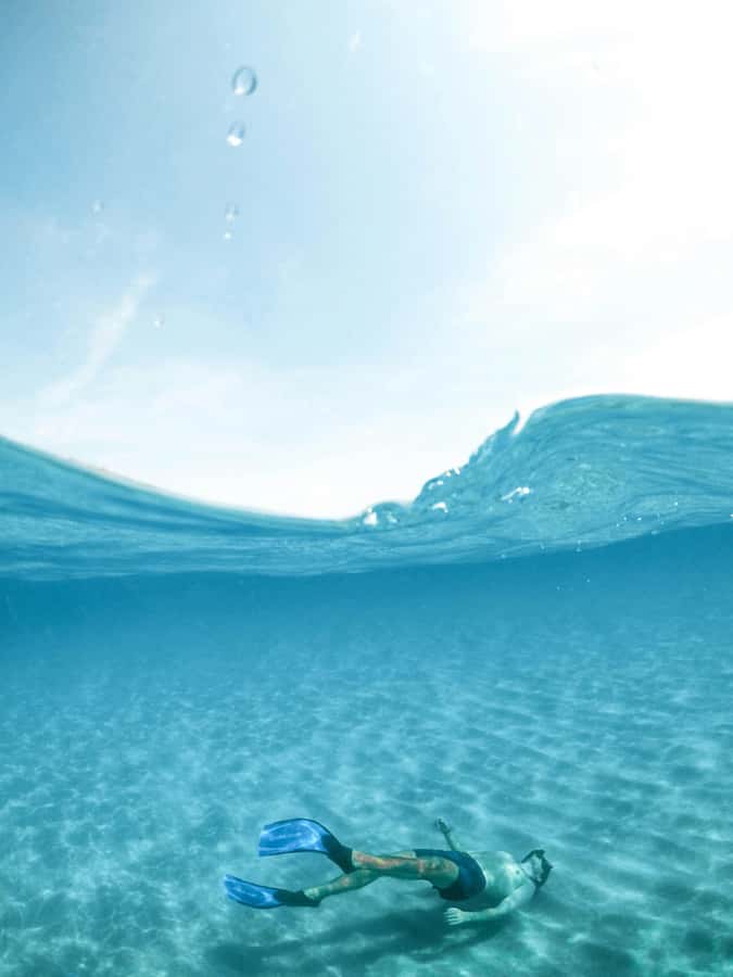 Mombasa: Wasini Dolphin Tour - Snorkeling at Kisite Mpunguti Marine Park