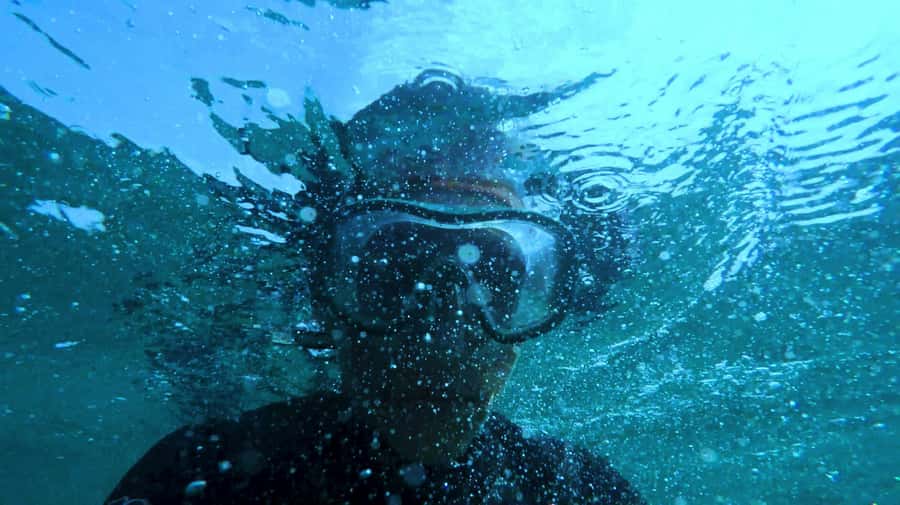 Mombasa: Wasini Dolphin Tour - Wasini Island lunch and the village walk