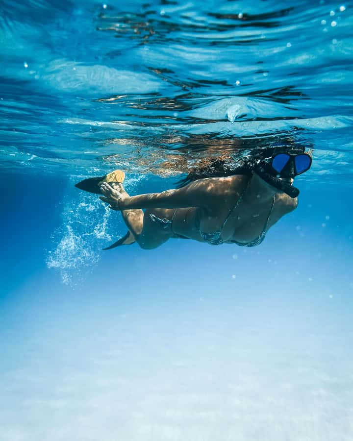 Mombasa: Wasini Dolphin Tour - Is the $115 price good value?