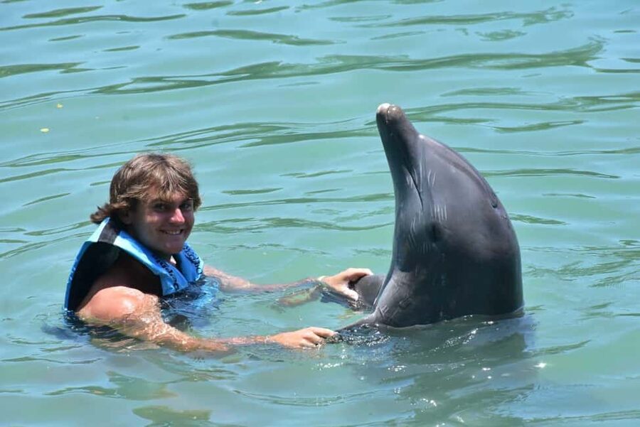 Montego Bay: Swim With The Dolphins Adventure in Lucea - What the dolphin experience is really like